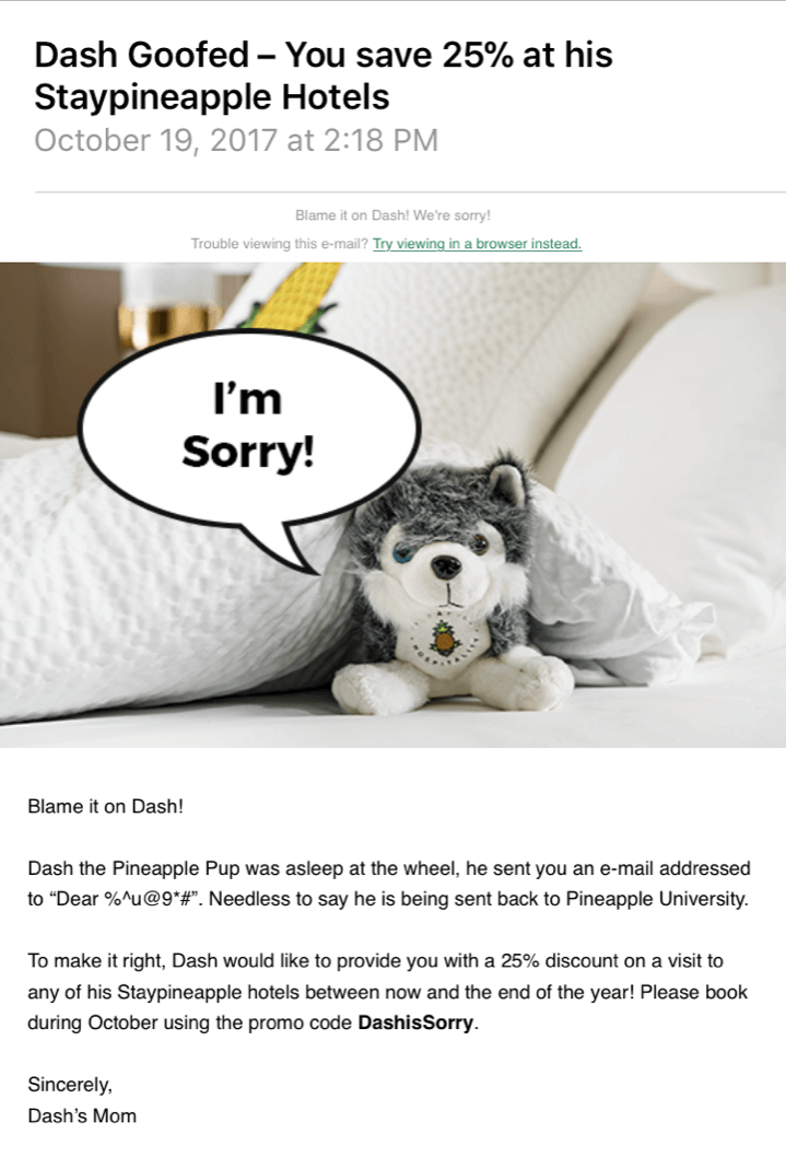 Staypineapple Hotels Oops Email Example