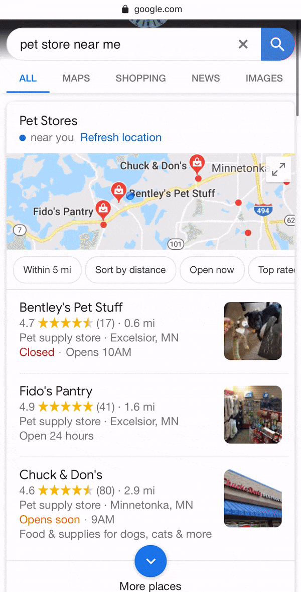 Scrolling webpage showing results for Pet Store Near Me